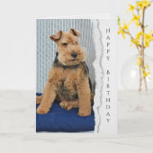 Welsh Terrier-verjaardagskaart Kaart (Gele Bloem)