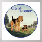 Welsh Terriers Poster (Voorkant)