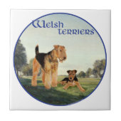 Welsh Terriers Tegeltje (Voorkant)