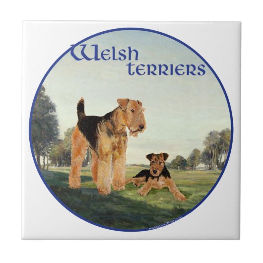 Welsh Terriers Tegeltje (Voorkant)