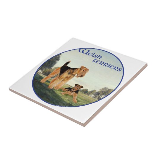Welsh Terriers Tegeltje (Zijkant)