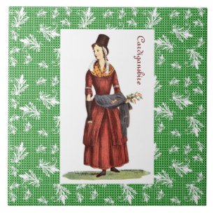 Welsh Traditional Costume - Cardiganshire Tegeltje