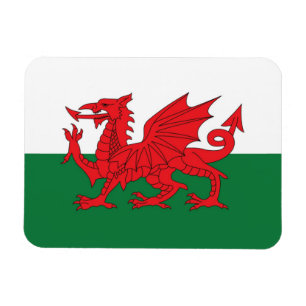 Welsh vlag koelkast magneet