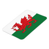 Welsh vlag koelkast magneet (Linkerzijde)