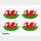 Welsh / Wales Flag - Cymru High Quality Afbeelding Ovale Sticker (Vel)