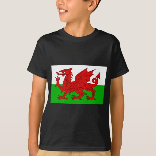 Welsh / Wales Flag - Cymru High Quality Afbeelding T-shirt (Voorkant)