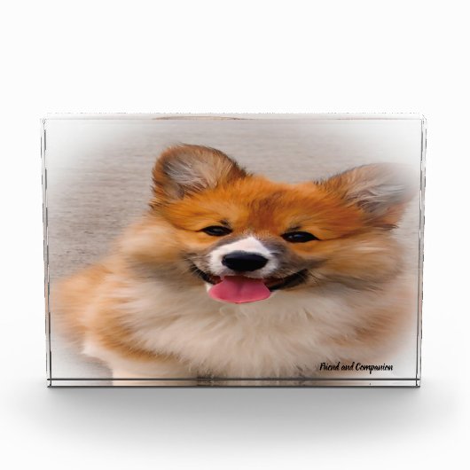 Welshe Corgi hond. Fotoblokken (Voorkant)