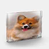 Welshe Corgi hond. Fotoblokken (Links)