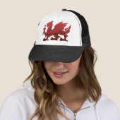 Welshe Draak Trucker Pet (In situ)