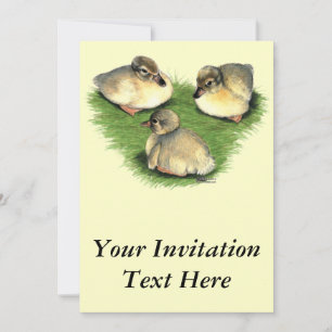 Welshe Harlekijn Eendjes Kaart