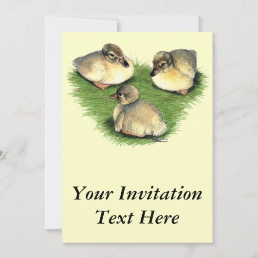 Welshe Harlekijn Eendjes Kaart (Voorkant)