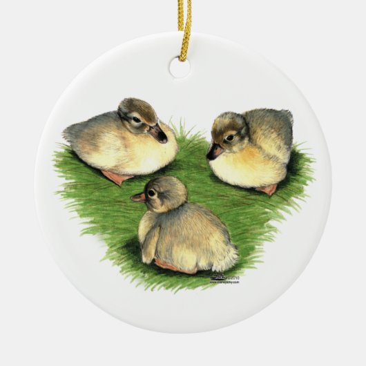 Welshe Harlekijn Eendjes Keramisch Ornament (Voorkant)