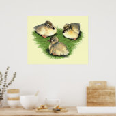 Welshe Harlekijn Eendjes Poster (Keuken)