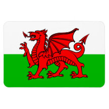Welshe Rode Draak Wales Vlag