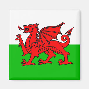 Welshe Rode Draak Wales Vlag Magneet