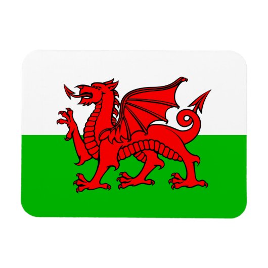 Welshe Rode Draak Wales Vlag Magneet (Horizontaal)