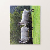 Welshe Schapen Legpuzzel (Verticaal)