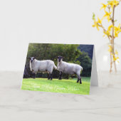 Welshe Schapen Wenskaarten. Kaart (Gele Bloem)