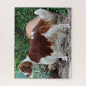 Welshe Springer Spaniel hond Jigsawpuzzels. Legpuzzel (Verticaal)