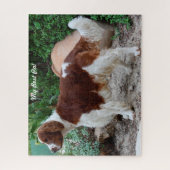 Welshe Springer Spaniel hond Jigsawpuzzels. Legpuzzel (Verticaal)