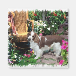 Welshe Springer Spaniel Kunst Geschenken Magneet