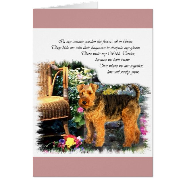 Welshe Terrier Kunst Cadeaus (Voorkant)