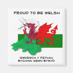 Welshe VLAG VAN WALES Rode Draak St David Quote Magneet