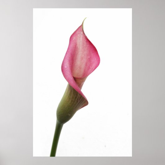 Welterusten Angel Poster (Voorkant)