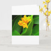 Welterusten !. kaart (Gele Bloem)