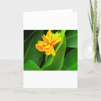 Welterusten !. kaart