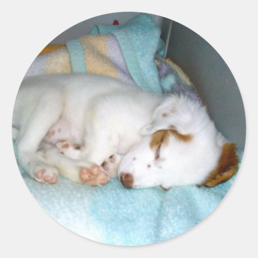 Welterusten! - Schattigee slapende puppy Ronde Sticker (Voorkant)