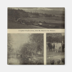 Welvaart, veel in Oregon Magneet