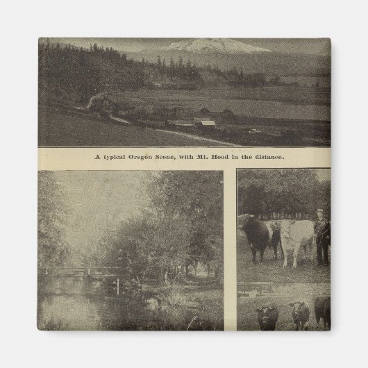 Welvaart, veel in Oregon Magneet (Voorkant)