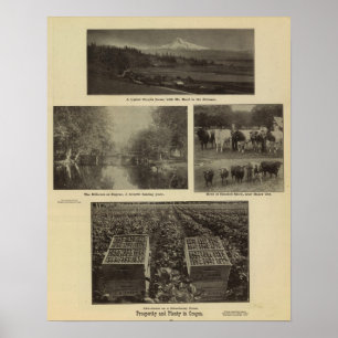 Welvaart, veel in Oregon Poster