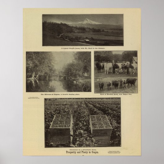 Welvaart, veel in Oregon Poster (Voorkant)