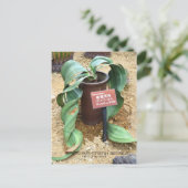 Welwitschia mirabilis (Briefkaart) Briefkaart (Staand voorkant)