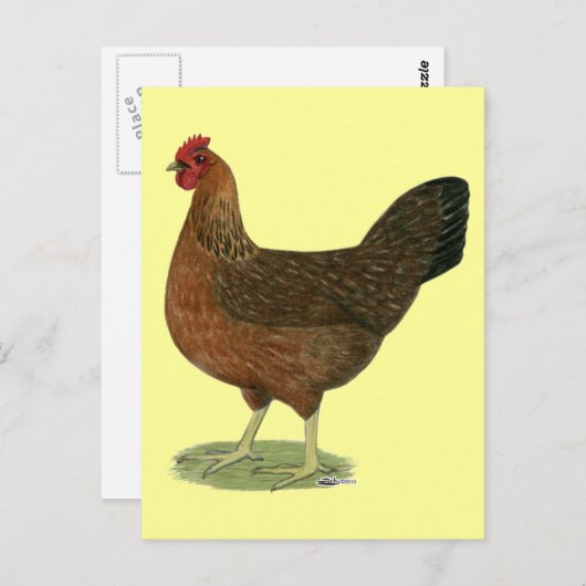 Welzomer Hen Briefkaart (Voorkant / Achterkant)