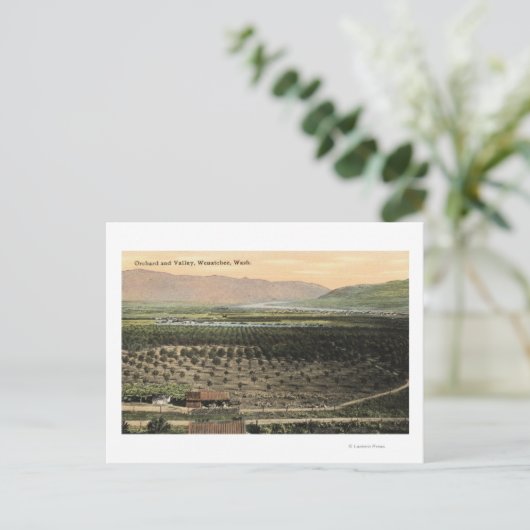 Wenatchee, Uitzicht van een boomgaard uit Washingt Briefkaart (Staand voorkant)