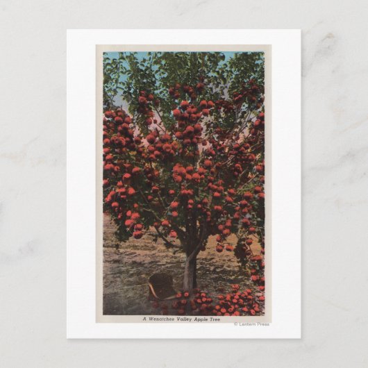 Wenatchee, WAA Wenatchee Valley Apple Tree Briefkaart (Voorkant)