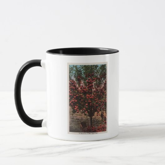 Wenatchee, WAA Wenatchee Valley Apple Tree Mok (Links)