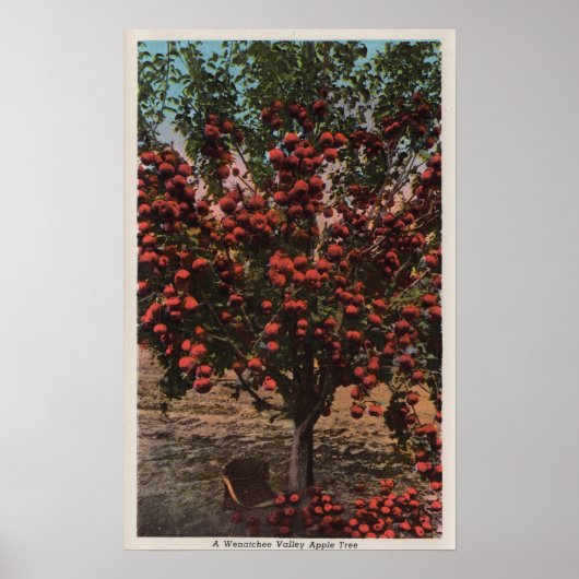 Wenatchee, WAA Wenatchee Valley Apple Tree Poster (Voorkant)