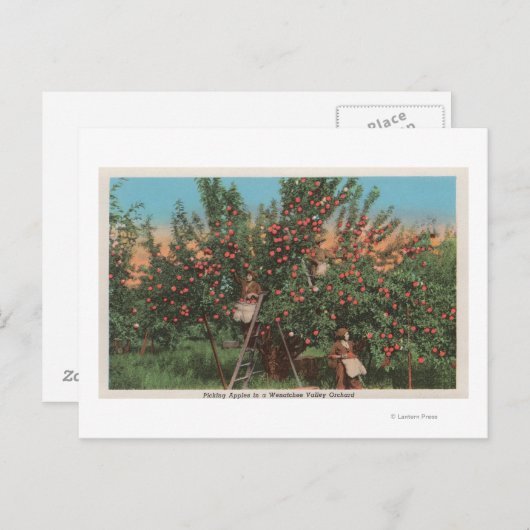 Wenatchee, WAView of Apple Orchard & Workers Briefkaart (Voorkant / Achterkant)