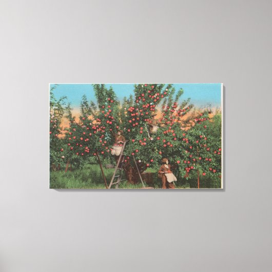 Wenatchee, WAView of Apple Orchard & Workers Canvas Afdruk (Voorkant)