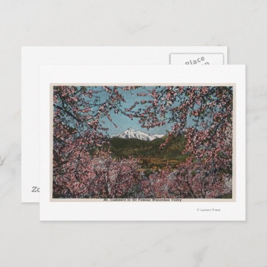 Wenatchee, WAView of Mt. Cashmere with Trees Briefkaart (Voorkant / Achterkant)