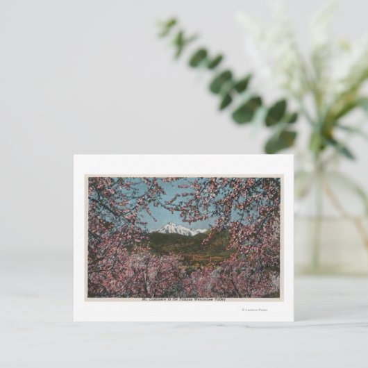 Wenatchee, WAView of Mt. Cashmere with Trees Briefkaart (Staand voorkant)