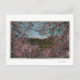 Wenatchee, WAView of Mt. Cashmere with Trees Briefkaart