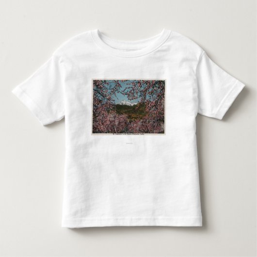 Wenatchee, WAView of Mt. Cashmere with Trees Kinder Shirts (Voorkant)