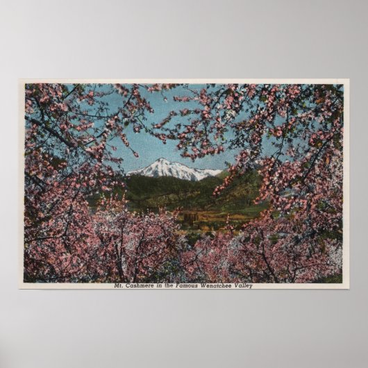Wenatchee, WAView of Mt. Cashmere with Trees Poster (Voorkant)