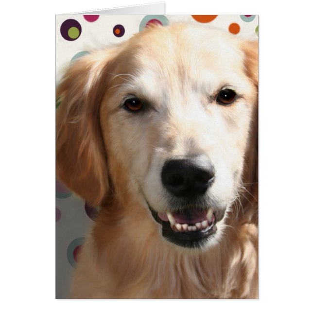 Wendy the Golden Retriever (Voorkant)