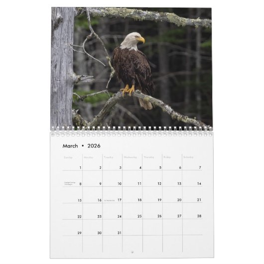 Wendy’ Wish 2026 18 Month, Medium Calendar Kalender (Mar 2026)